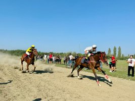 სამტრედიის გრან-პრი ცხენოსნობის ეროვნულ სახეობებში სამტრედიის მუნიციპალიტეტის მერიისა და სამტრედიის საცხენოსნო კლუბის ორგანოზებით  სამ დღიანი ტურნირი ჩატარდა ცხენოსნობის ეროვნულ სახეობებში