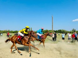 სამტრედიის გრან-პრი ცხენოსნობის ეროვნულ სახეობებში სამტრედიის მუნიციპალიტეტის მერიისა და სამტრედიის საცხენოსნო კლუბის ორგანოზებით  სამ დღიანი ტურნირი ჩატარდა ცხენოსნობის ეროვნულ სახეობებში