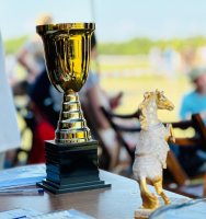 სამტრედიის გრან-პრი ცხენოსნობის ეროვნულ სახეობებში სამტრედიის მუნიციპალიტეტის მერიისა და სამტრედიის საცხენოსნო კლუბის ორგანოზებით  სამ დღიანი ტურნირი ჩატარდა ცხენოსნობის ეროვნულ სახეობებში