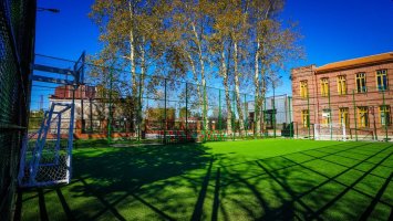 სამტრედიაში სასკოლო ოლიმპიადა მიმდინარეობს