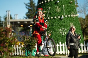 სამტრედიაში მთავრობის ადმინისტრაციის ორგანიზებით საახალწლო ღონისძიებები ჩატარდა