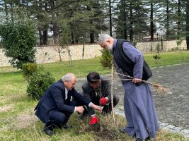 სამტრედიაში ქართულ-იაპონური მეგობრობის სიმბოლოდ  საკურას  ხეივნები გაშენდება