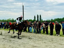 დამოუკიდებლობის დღე სამტრედიაში