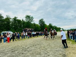 დამოუკიდებლობის დღე სამტრედიაში
