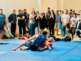 დამოუკიდებლობის დღე სამტრედიაში