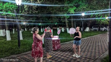 სრულად რეაბილიტირებული ,,მომავლის პარკი''