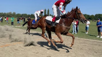 მარიამობის დღესასწაულზე ტრადიციული დოღი გაიმართა