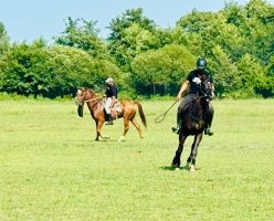 მარიამობის დღესასწაულზე ტრადიციული დოღი გაიმართა