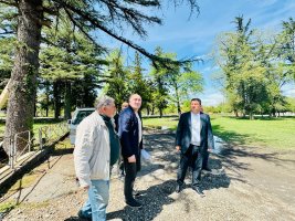 სამტრედიის მუნიციპალიტეტში, სოფელ ღანირში, სრული რებილიტაცია უტარდება ადმინისტრაციულ შენობას, კულტურის ცენტრსა და ბიბლიოთეკისთვის განკუთვნილ სივრცეს