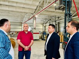 ინდუსტრიული ზონების განახლება – სამტრედიის ახალი ეკონომიკური პერსპექტივა