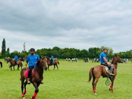 სამტრედიაში, ილორში მდებარე განახლებულ იპოდრომზე, ქართული ცხენოსნობის ზეიმი გაიმართა