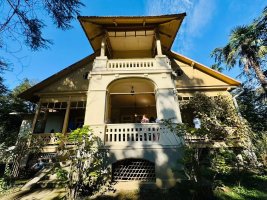 „ნიკოობა 2025“