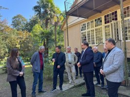 „ნიკოობა 2025“