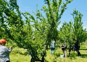 სოფლის მეურნეობის დარგის ხელშეწყობის მიზნით, სასოფლო-სამეურნეო სავარგულებამდე მისასვლელი გზების, წყალსაწრეტი არხების მოწყობა და სხვადასხვა სამუშაოები მიმდინარეობს 