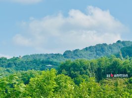 #ტოლები #ტელეფისის  ციხე