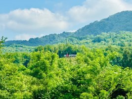 #ტოლები #ტელეფისის  ციხე