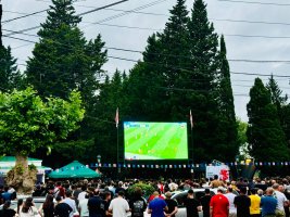 დამოუკიდებელი საქართველოს ისტორიაში,  ევროპის ჩემპიონატზე, პირველი ქართული გოლი გავიდა