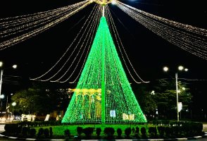 სამტრედიაში  წინა საახალწლო სამზადისი აქტიურად მიმდინარეობს