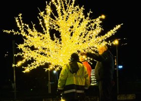 სამტრედიაში  წინა საახალწლო სამზადისი აქტიურად მიმდინარეობს