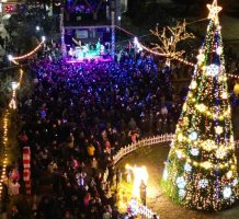 სამტრედიის  მთავარი ნაძვის ხე  საზეიმოდ აინთო