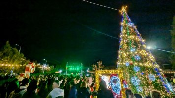 სამტრედიის  მთავარი ნაძვის ხე  საზეიმოდ აინთო