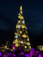 სამტრედიის  მთავარი ნაძვის ხე  საზეიმოდ აინთო