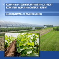 „სასათბურე მეურნეობების მხარდაჭერის საგრანტო პროგრამა“