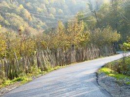 საჯავახოს ადმინისტრაციულ ერთეულში საგზაო ინფრასტრუქტურის სამუშაოები მიმდინარეობს