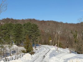 სამტრედიის მუნიციპალიტეტის მაღალმთიან სოფლებში თოვლის გაწმენდითი სამუშაოები აქტიურ რეჟიმში მიმდინარეობს
