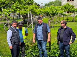 სოფელ გომში საგზაო ინფრასტრუქტურის მოწყობის სამუშაოები აქტიურად მიმდინარეობს