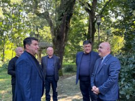 ნიკოობა 2026 დიდ ჯიხაიშში 